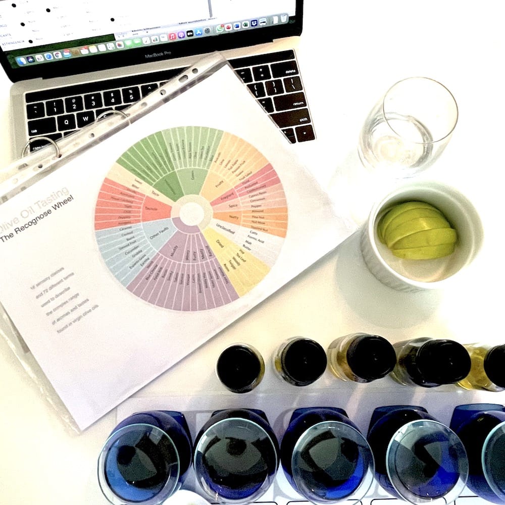 olive oil tasting education