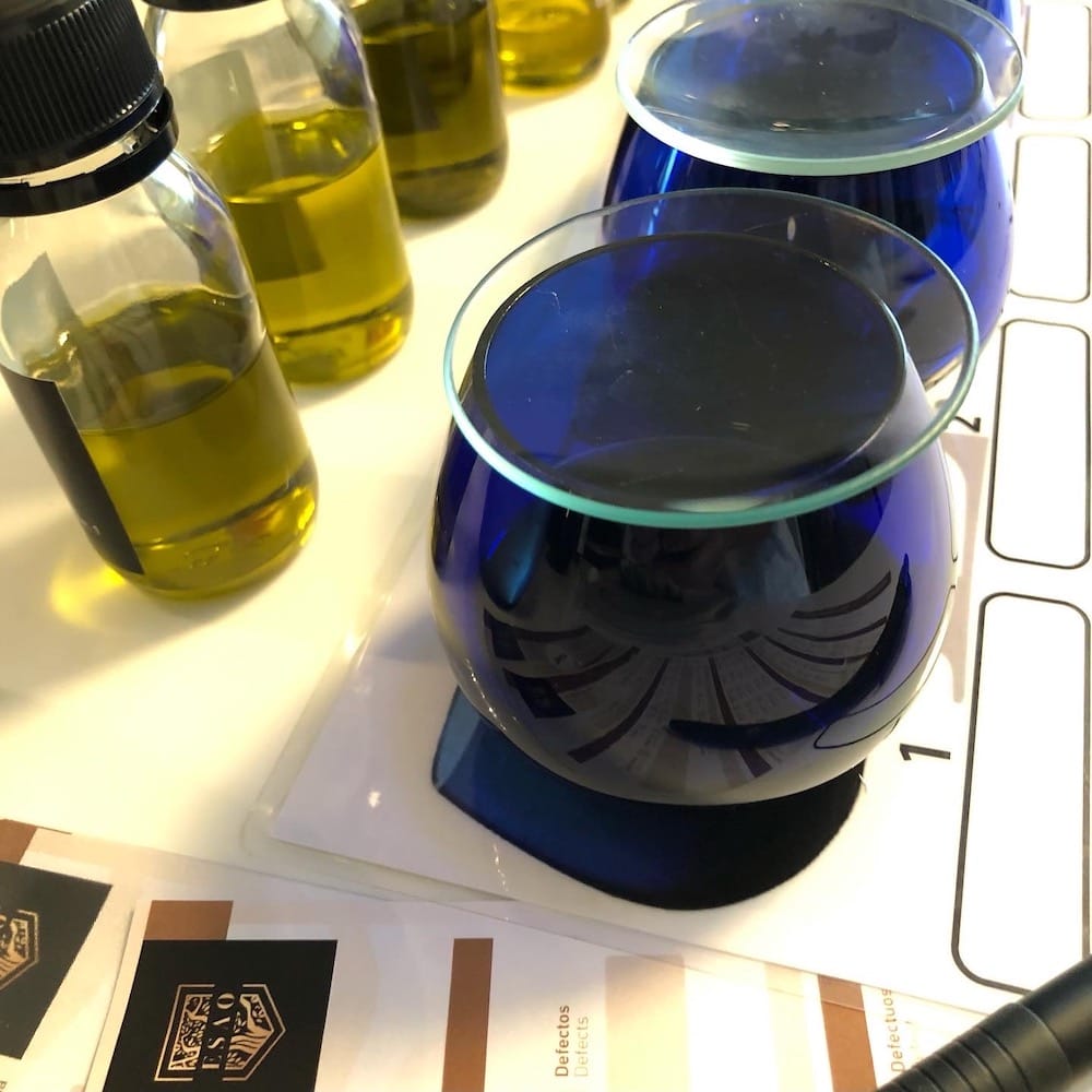 olive oil tasting protocols